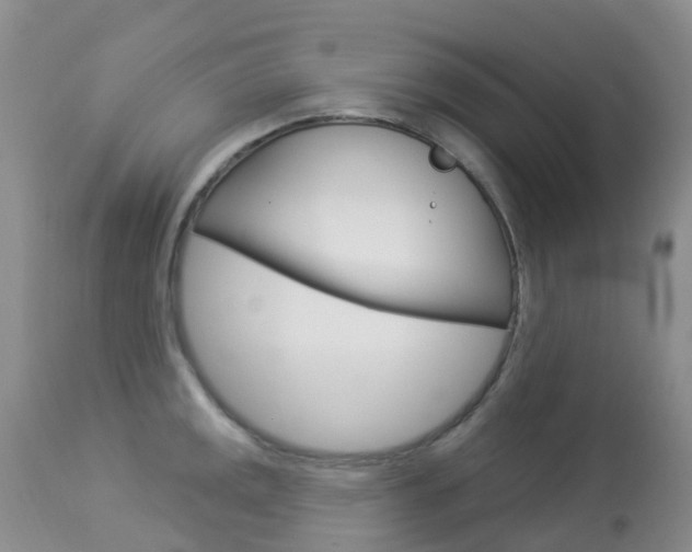 X0000113961141200909251020
