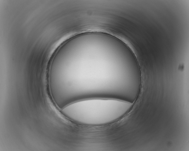 X0000113961142200909251020