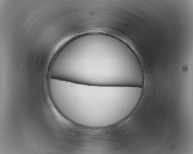 X0000113961143200909251020