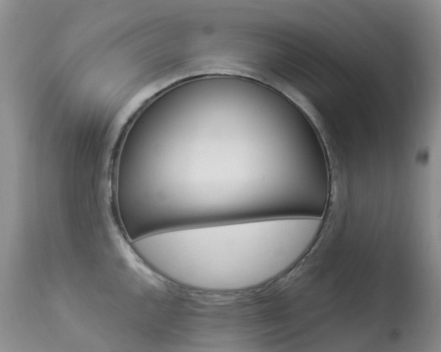 X0000113961144200909251020