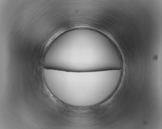X0000113961145200909251020