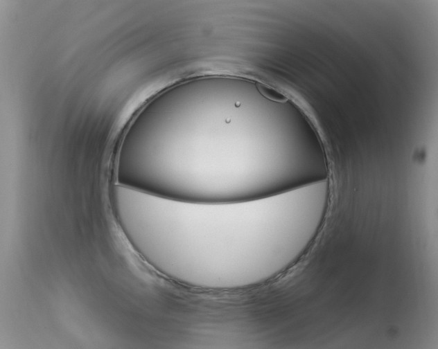X0000113961146200909251020