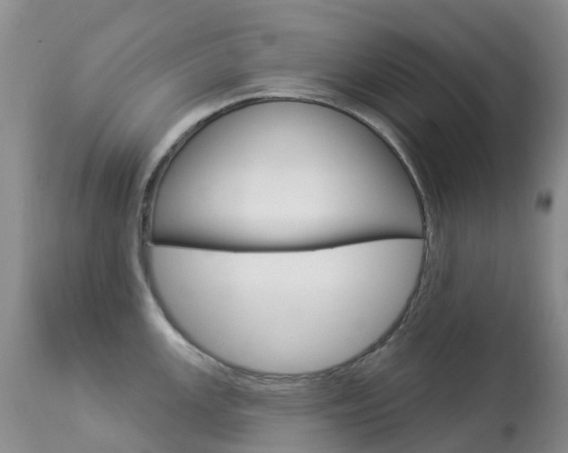 X0000113961147200909251020