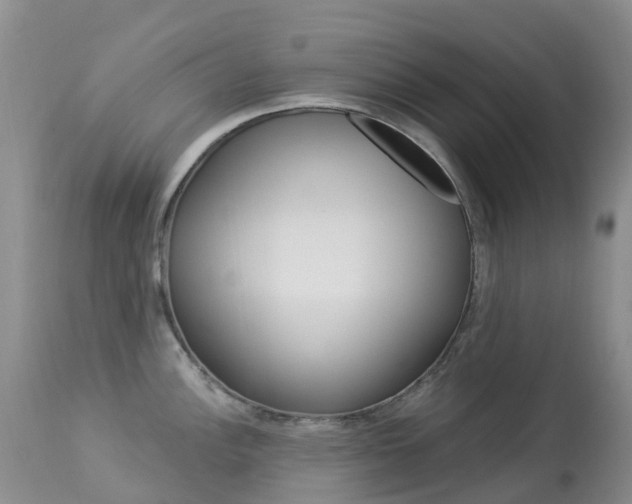 X0000113961148200909251020