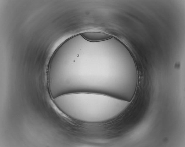 X0000113961151200909251020