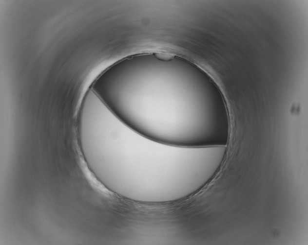 X0000113961152200909251021