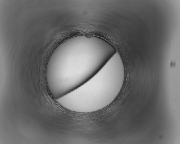 X0000113961153200909251020