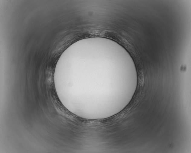 X0000113961154200909251020
