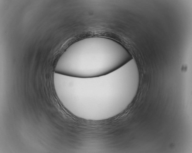 X0000113961155200909251020