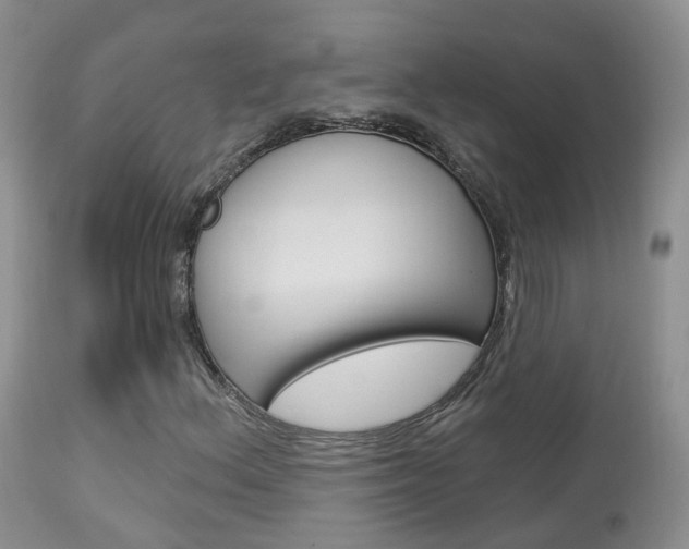 X0000113961156200909251020