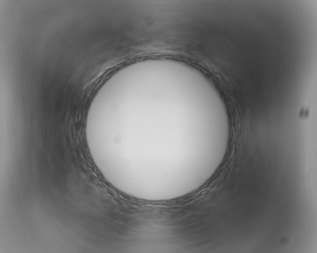 X0000113961157200909251020
