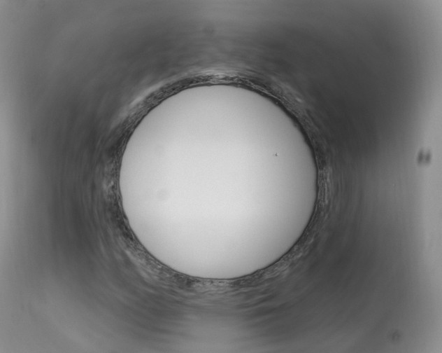 X0000113961158200909251020