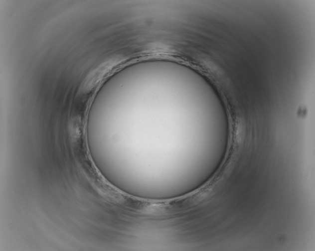 X0000113961161200909251020