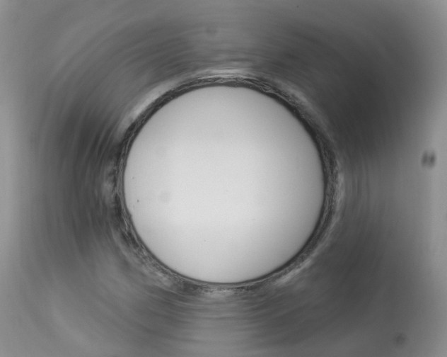 X0000113961162200909251020