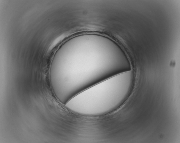 X0000113961163200909251020