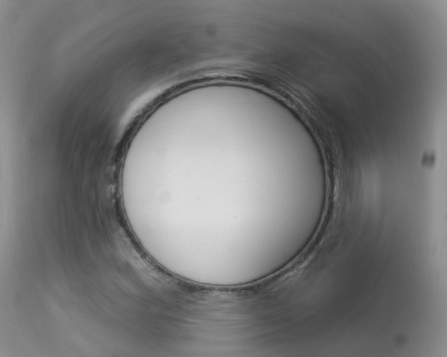 X0000113961164200909251020
