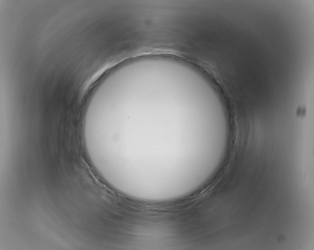 X0000113961165200909251020