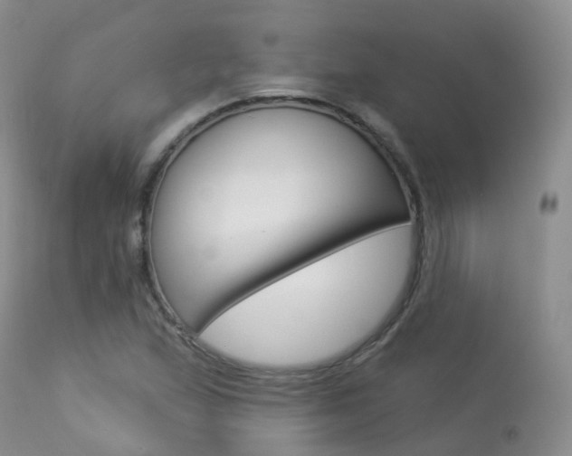 X0000113961167200909251020