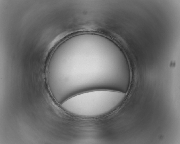 X0000113961168200909251020