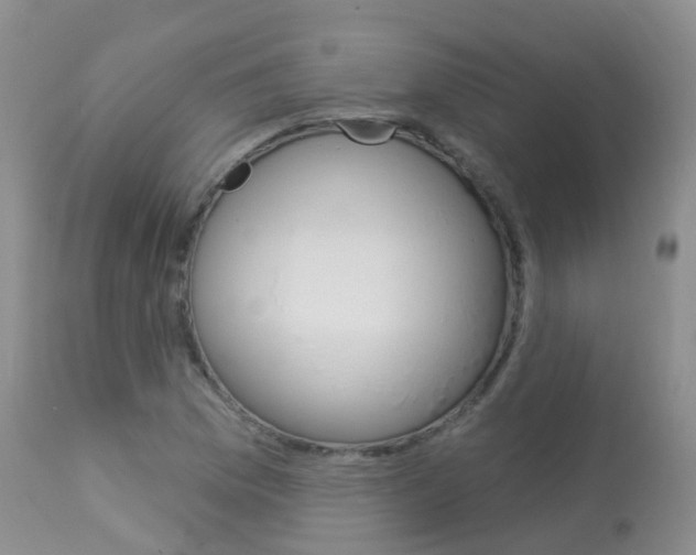 X0000113961169200909251020