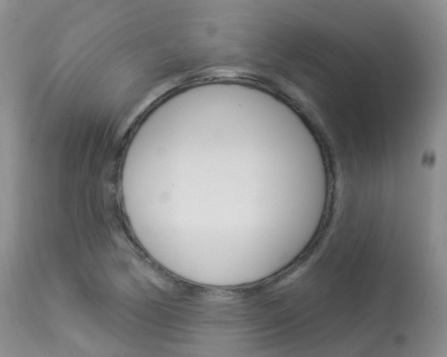 X0000113961170200909251020