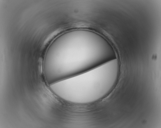 X0000113961171200909251020