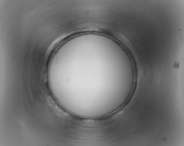 X0000113961172200909251020