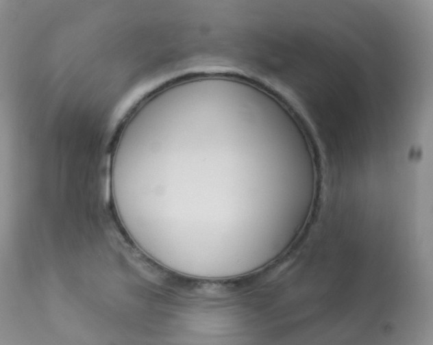 X0000113961175200909251020