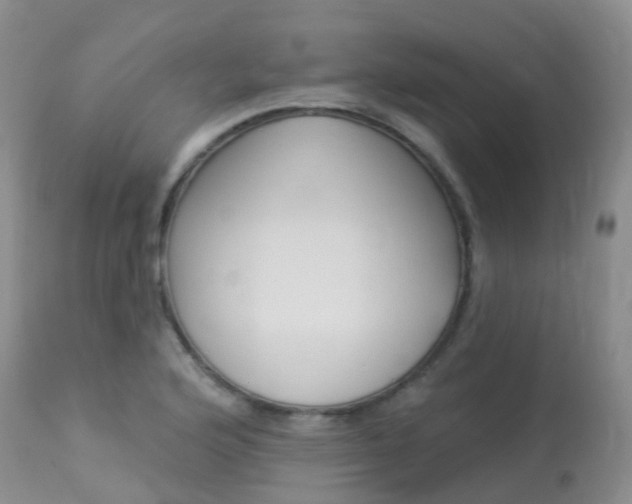 X0000113961176200909251020