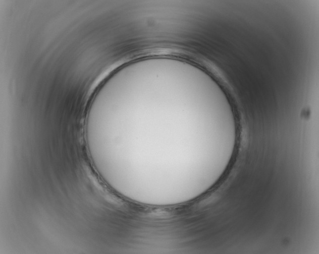 X0000113961178200909251020
