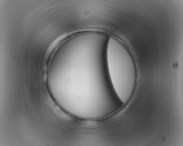 X0000113961180200909251019
