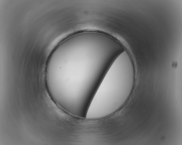 X0000113961183200909251019