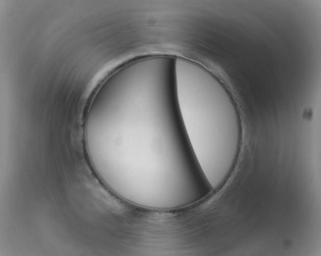 X0000113961184200909251019