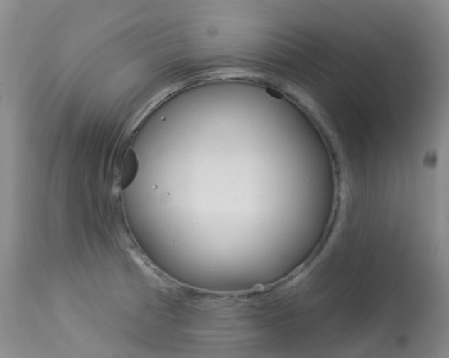 X0000113961185200909251019