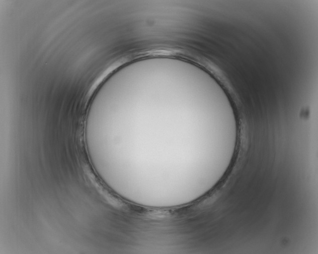 X0000113961186200909251019