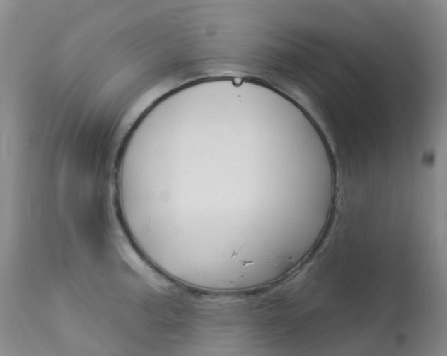 X0000113961187200909251019