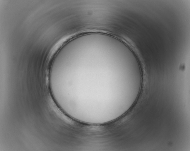 X0000113961188200909251019