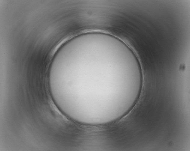 X0000113961189200909251019