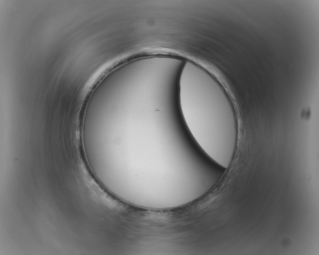 X0000113961191200909251019