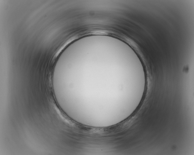 X0000113961194200909251019
