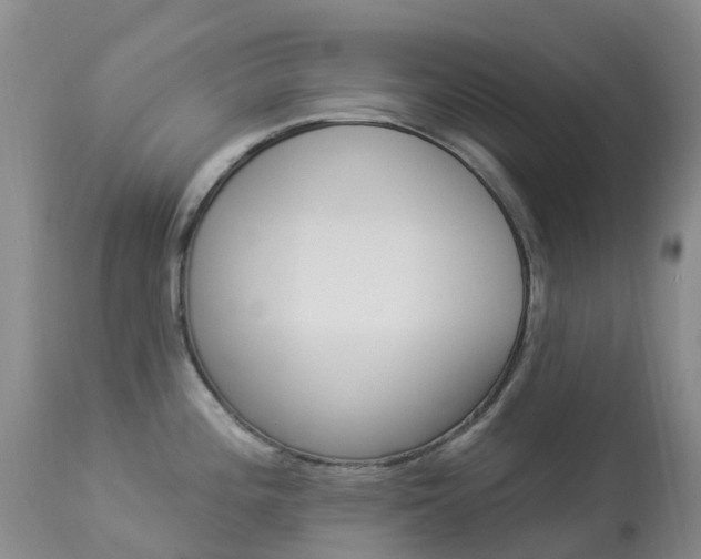 X0000113961196200909251019