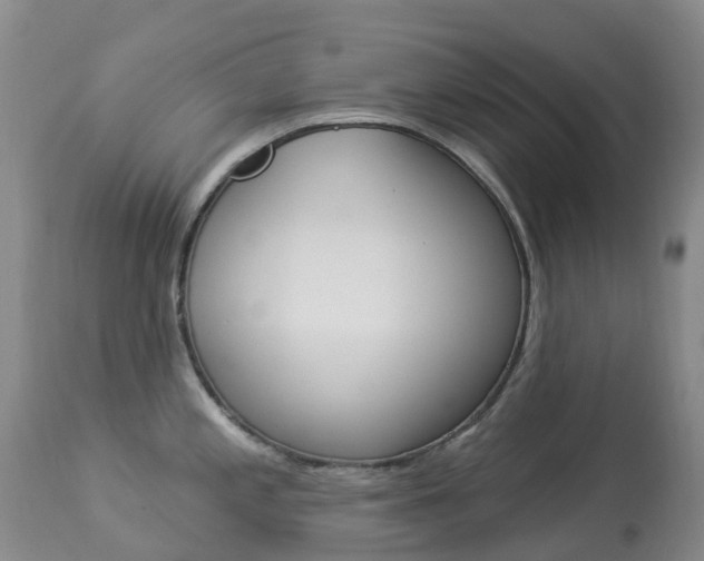X0000113961197200909251019