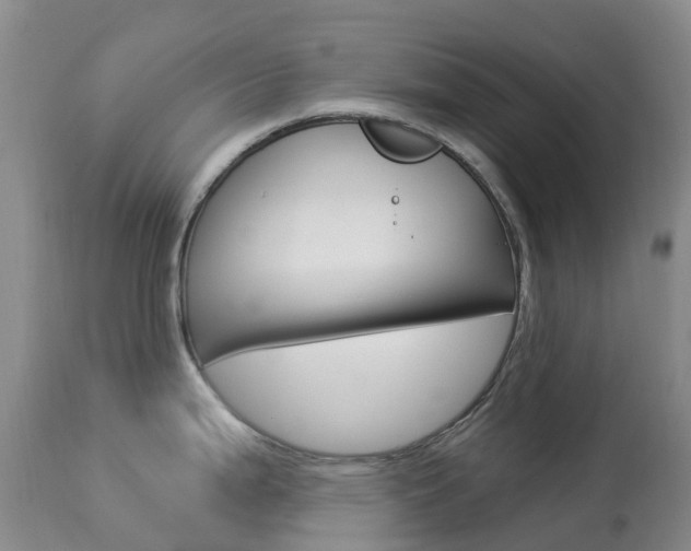 X0000113961199200909251019