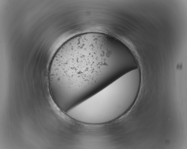 X0000113961200200909251019
