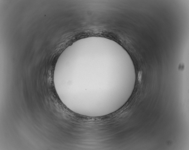 X0000113961203200909251018
