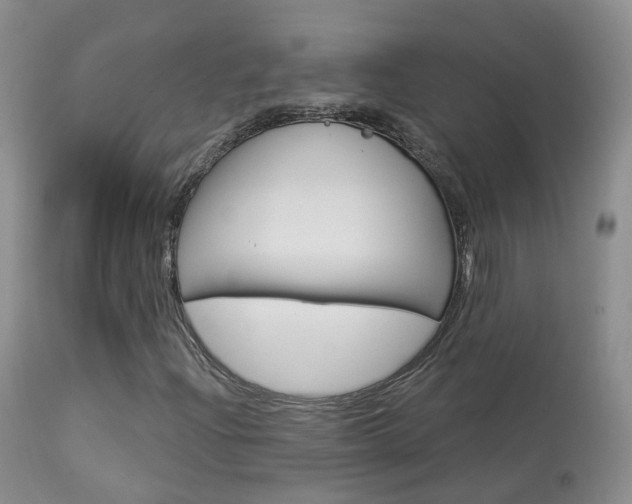 X0000113961204200909251018