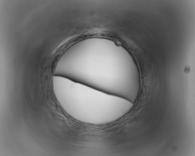 X0000113961206200909251018