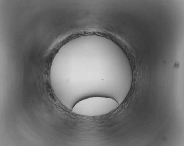 X0000113961207200909251018