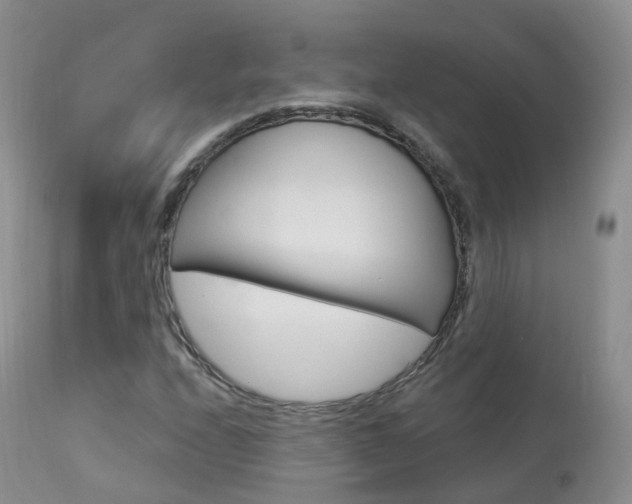 X0000113961208200909251018