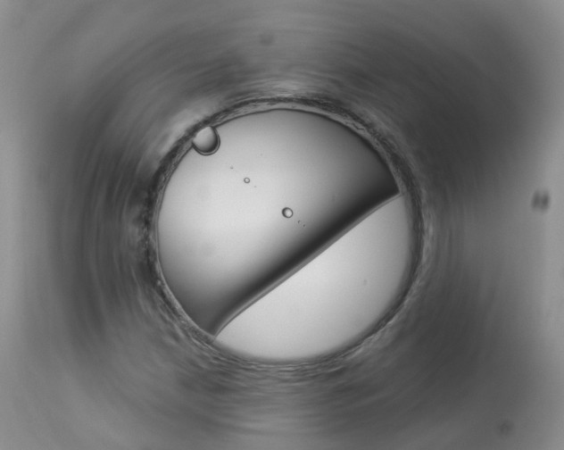 X0000113961210200909251018